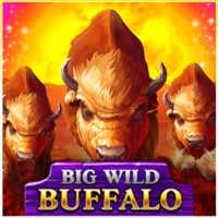 game logo by Belatra Games on spinny.eu.com